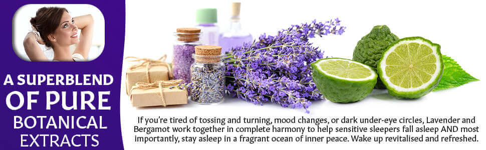 Aromatherapy Sleep Candle - 70g Sleep Candle | Shika Wellbeing UK