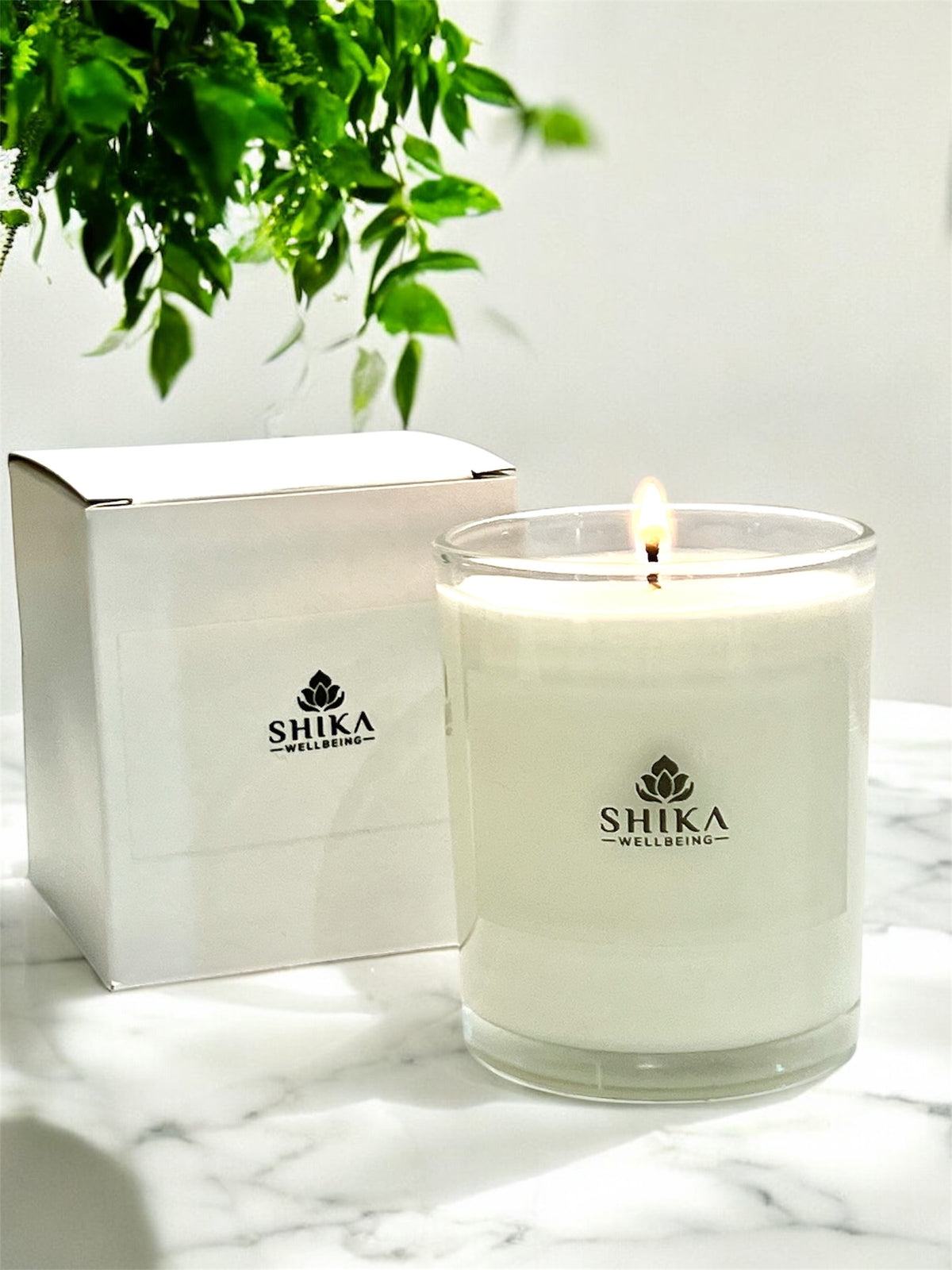 Shika candle with packaging and a plant on a marble surface