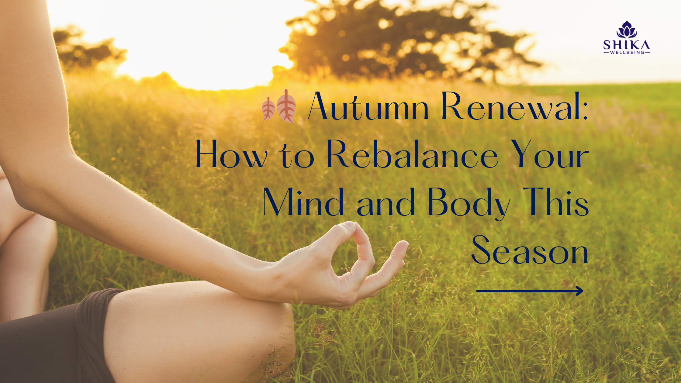 🍂 Autumn Renewal: How to Rebalance Your Mind and Body This Season