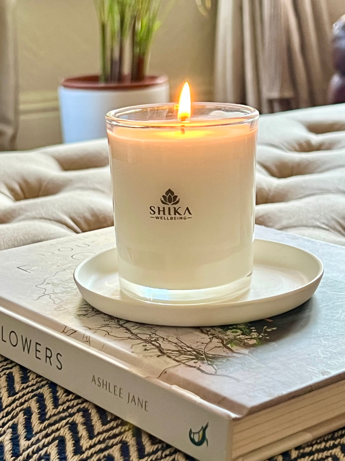 Shika candle on a book with a blurred background