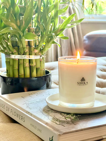 Shika candle on a book with a bamboo plant in the background